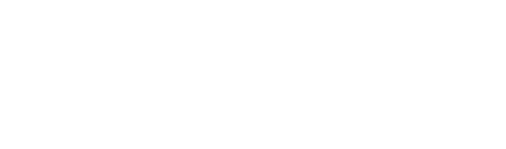 The Bridges Groups